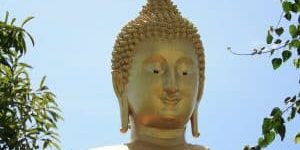 ThaiBuddha